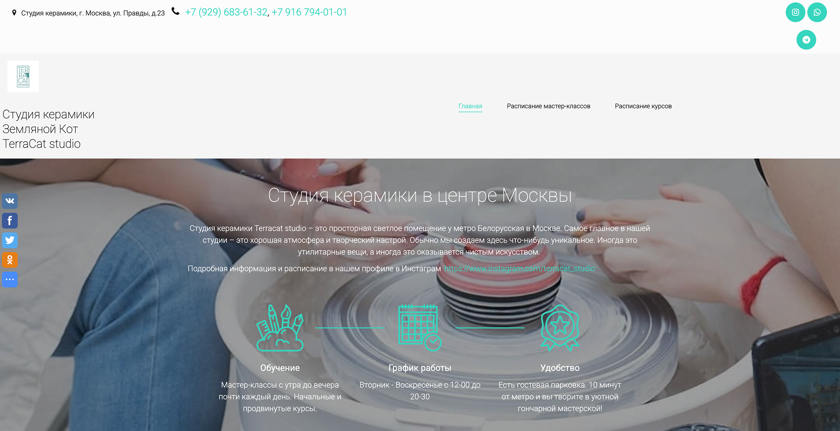 Terracat Studio website before redesign